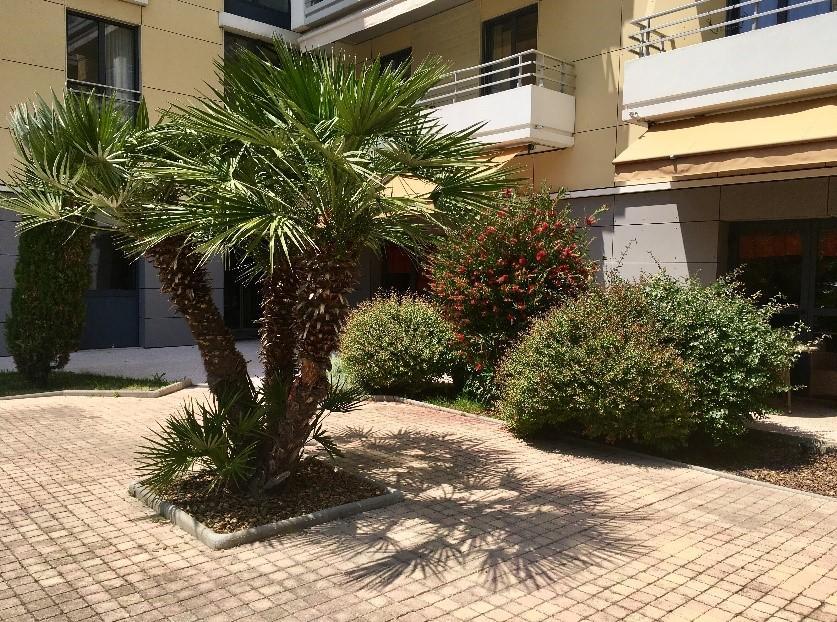 Villa Du Beal Cagnes-sur-Mer Dış mekan fotoğraf